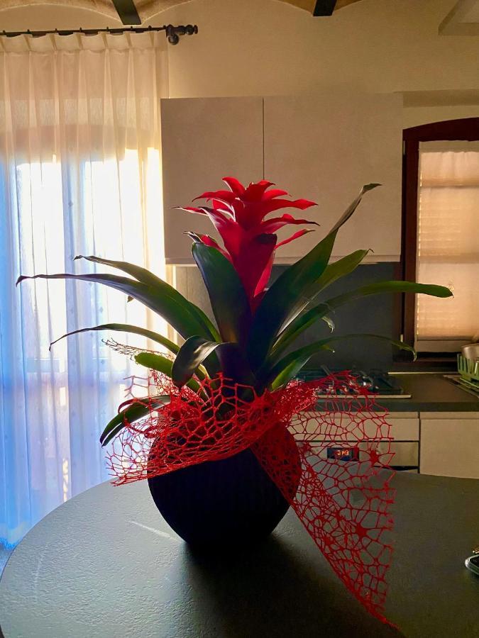 B&B Terrazza Sul Borgo Mogliano Esterno foto